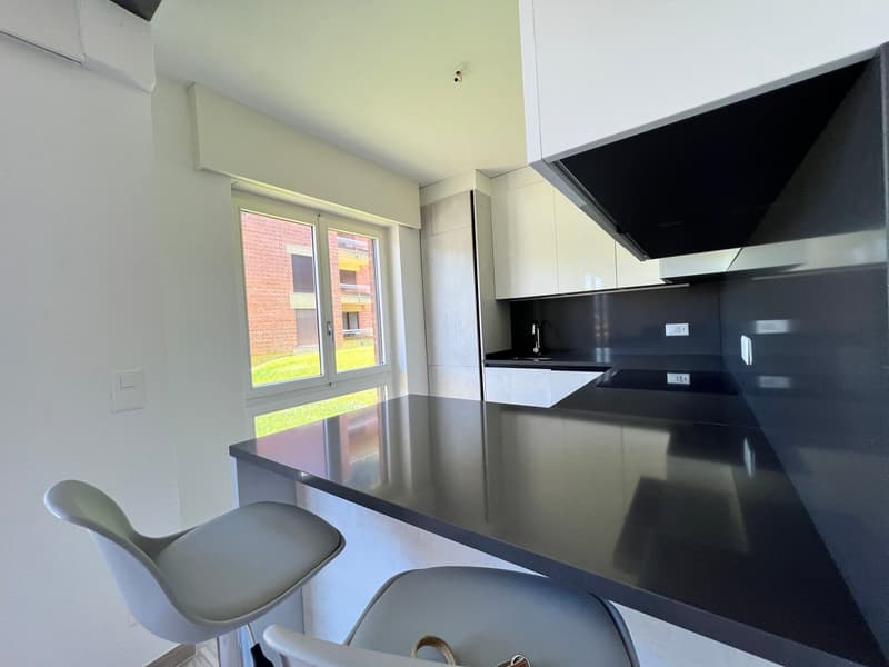 Lugano-Pazzallo – Perfect 3.5 rooms renovated with terraces and parking space - A rental income (18)