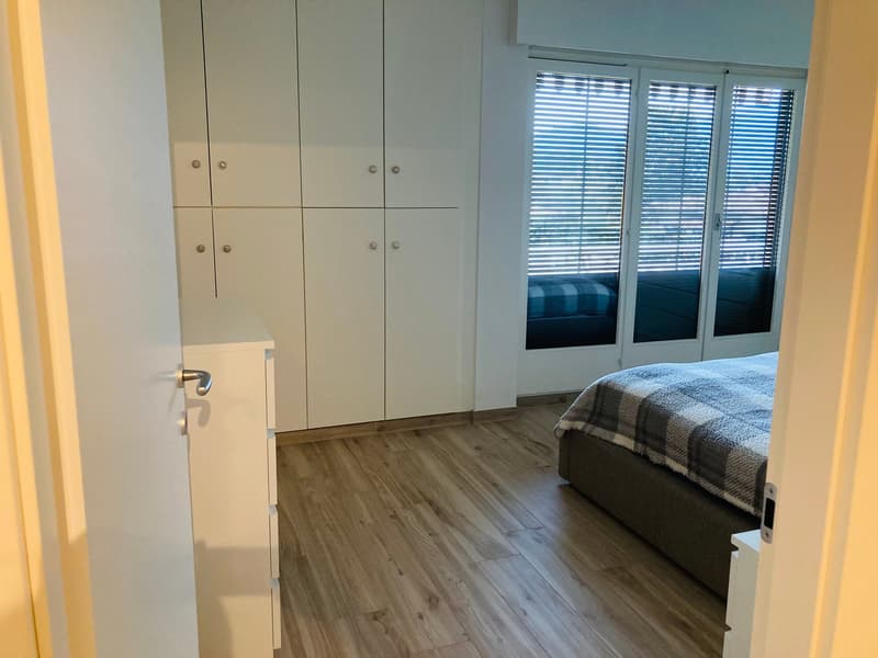Lugano-Pazzallo – Perfect 3.5 rooms renovated with terraces and parking space - A rental income (7)