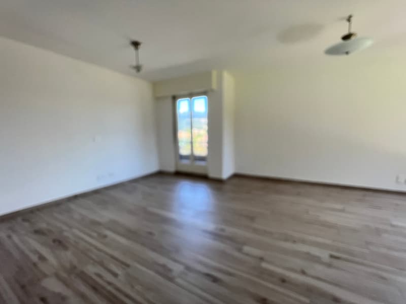 Lugano-Pazzallo – Perfect 3.5 rooms renovated with terraces and parking space - A rental income (12)