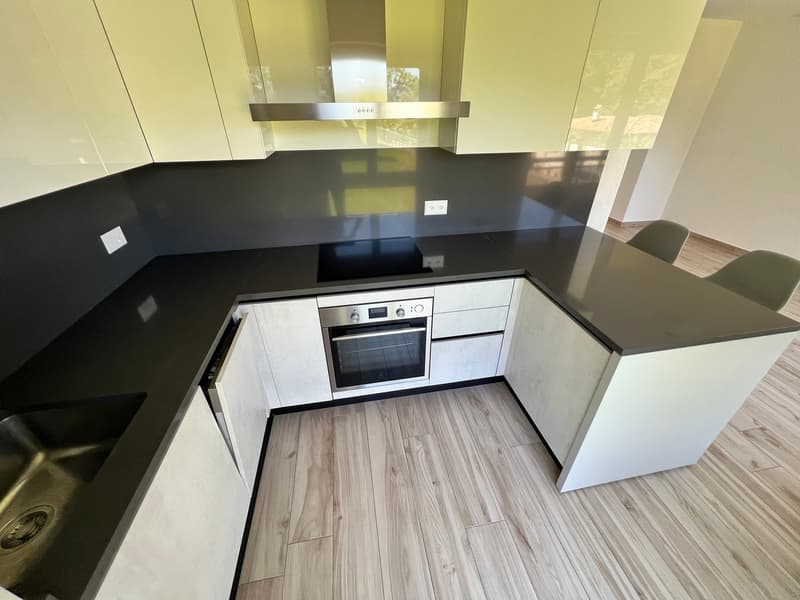 Lugano-Pazzallo – Perfect 3.5 rooms renovated with terraces and parking space - A rental income (21)