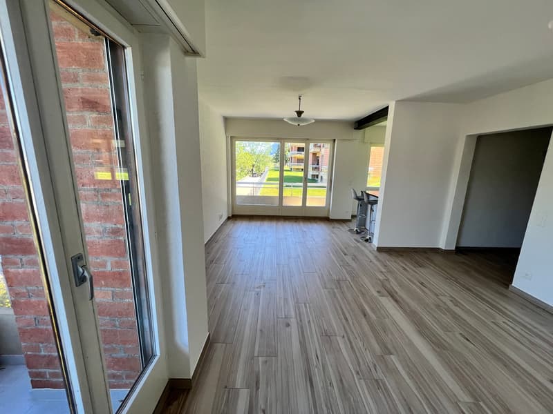 Lugano-Pazzallo – Perfect 3.5 rooms renovated with terraces and parking space - A rental income (14)