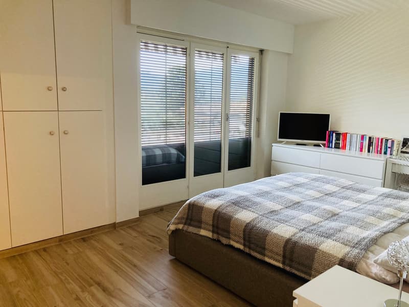 Lugano-Pazzallo – Perfect 3.5 rooms renovated with terraces and parking space - A rental income (6)