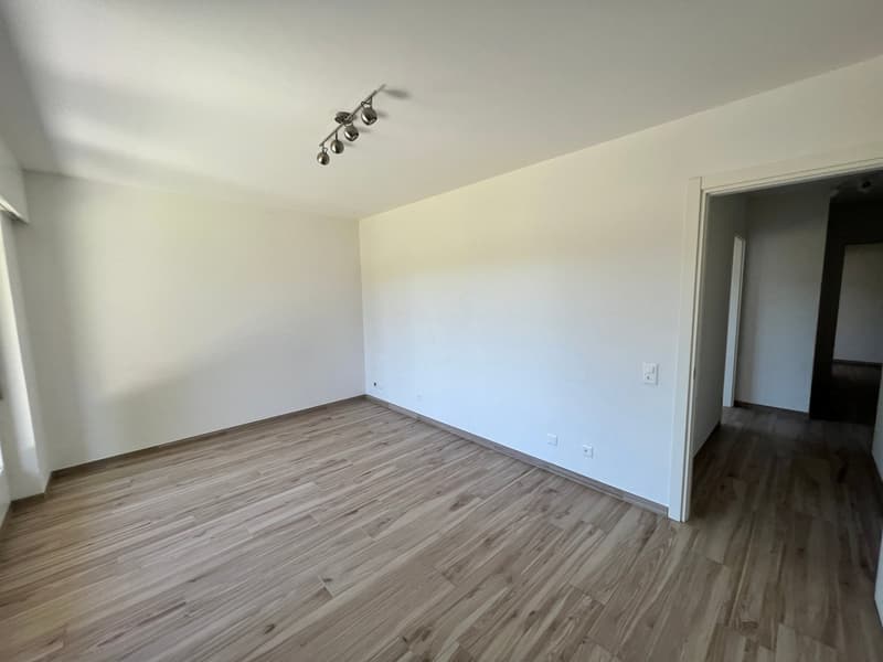 Lugano-Pazzallo – Perfect 3.5 rooms renovated with terraces and parking space - A rental income (33)