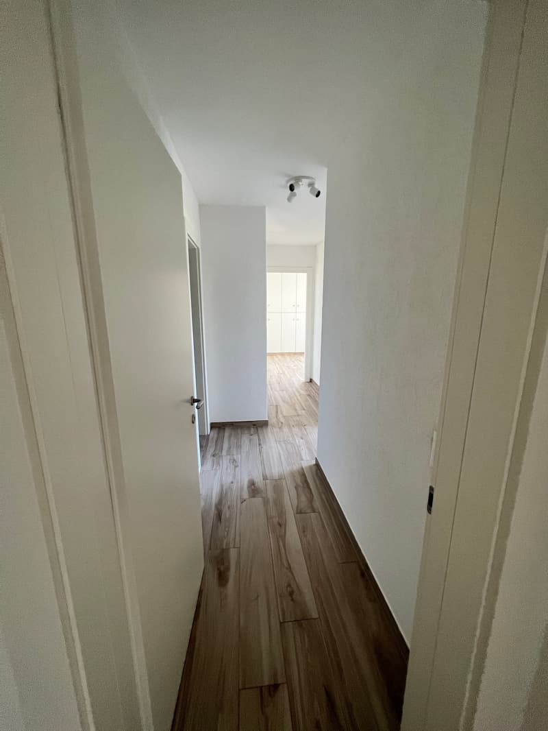 Lugano-Pazzallo – Perfect 3.5 rooms renovated with terraces and parking space - A rental income (26)