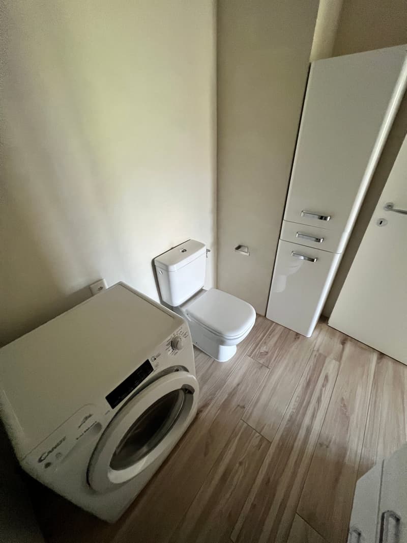 Lugano-Pazzallo – Perfect 3.5 rooms renovated with terraces and parking space - A rental income (28)