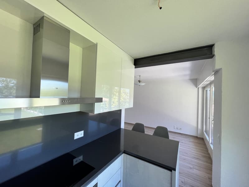Lugano-Pazzallo – Perfect 3.5 rooms renovated with terraces and parking space - A rental income (22)