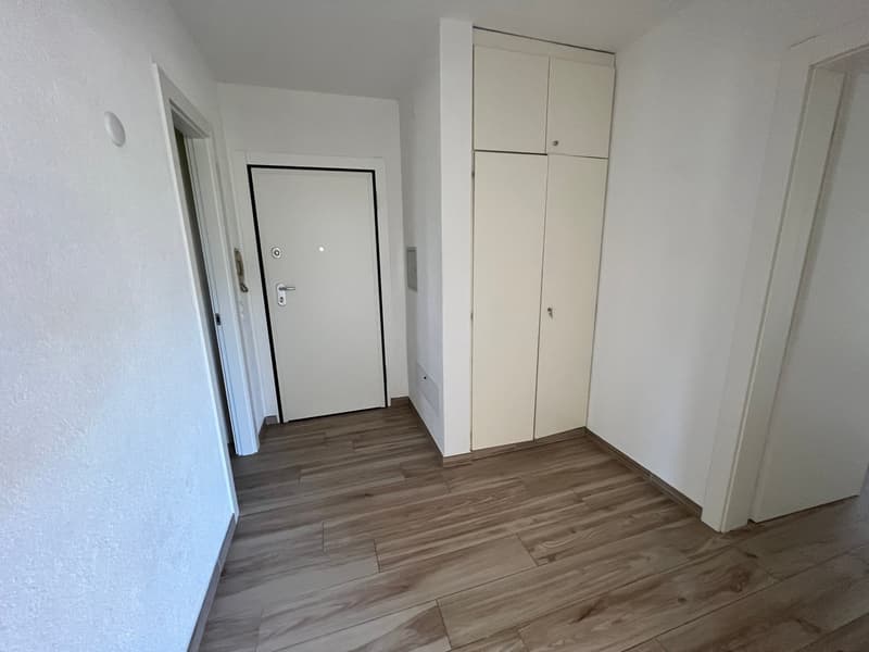 Lugano-Pazzallo – Perfect 3.5 rooms renovated with terraces and parking space - A rental income (25)