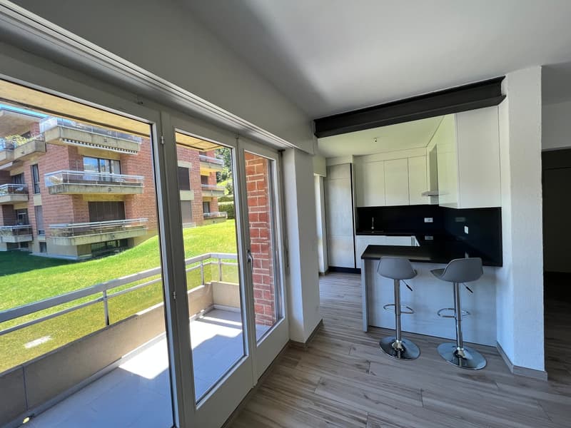 Lugano-Pazzallo – Perfect 3.5 rooms renovated with terraces and parking space - A rental income (16)