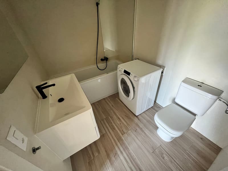 Lugano-Pazzallo – Perfect 3.5 rooms renovated with terraces and parking space - A rental income (27)