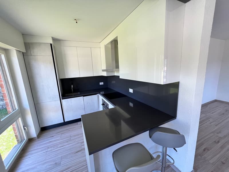 Lugano-Pazzallo – Perfect 3.5 rooms renovated with terraces and parking space - A rental income (20)
