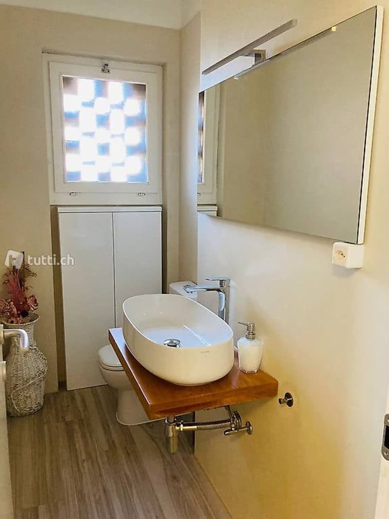 Lugano-Pazzallo – Perfect 3.5 rooms renovated with terraces and parking space - A rental income (2)