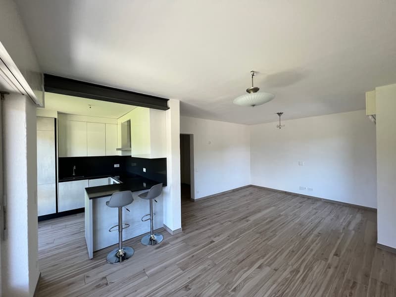 Lugano-Pazzallo – Perfect 3.5 rooms renovated with terraces and parking space - A rental income (17)
