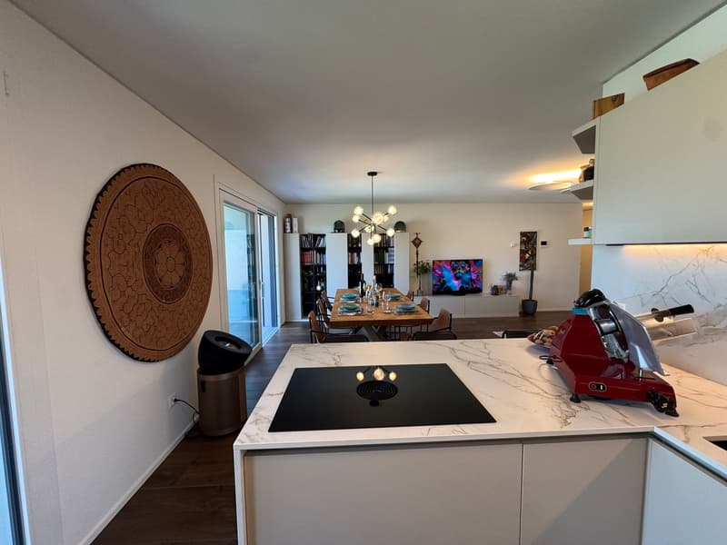 modern kitchen with marble countertops, induction stove, dining area with table and chairs, living room with TV, bookshelves, and decorative items