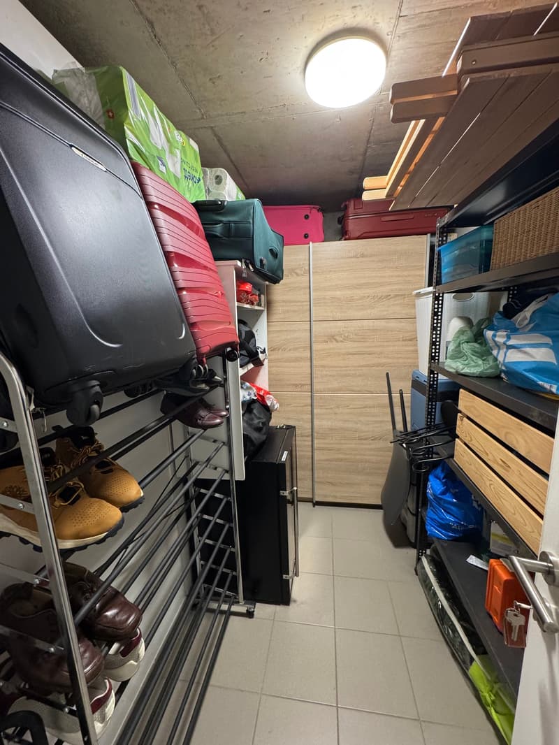 Appartement moderne 4.5 pièces avec grand jardin privé à Rancate (14)
