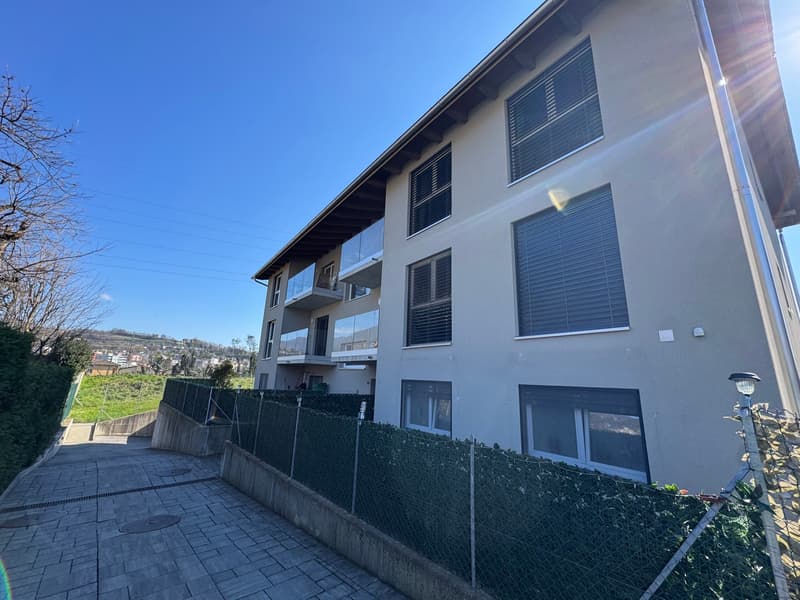 Appartement moderne 4.5 pièces avec grand jardin privé à Rancate (16)