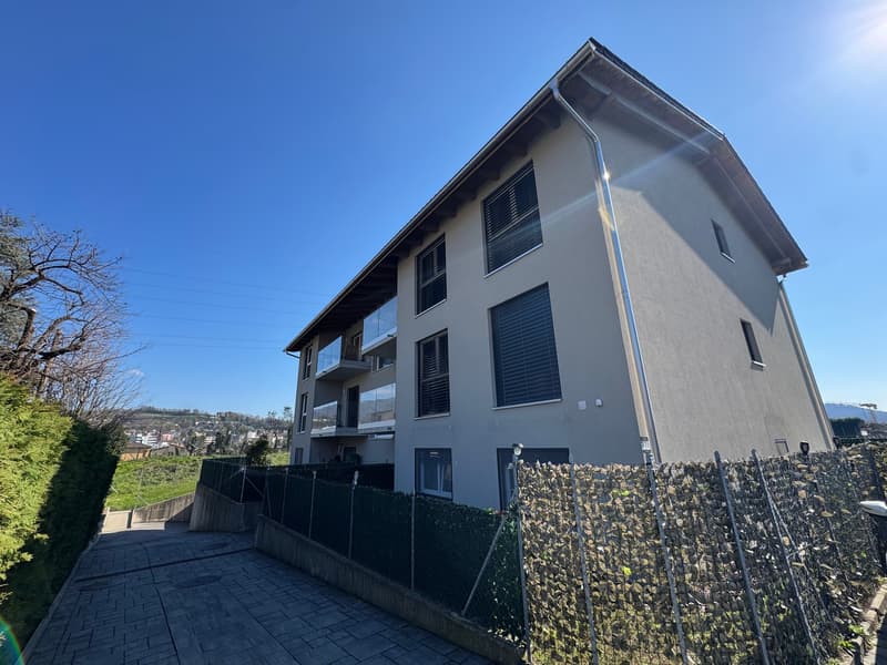 Appartement moderne 4.5 pièces avec grand jardin privé à Rancate (17)