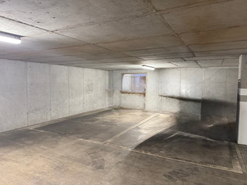 Appartement moderne 4.5 pièces avec grand jardin privé à Rancate (15)