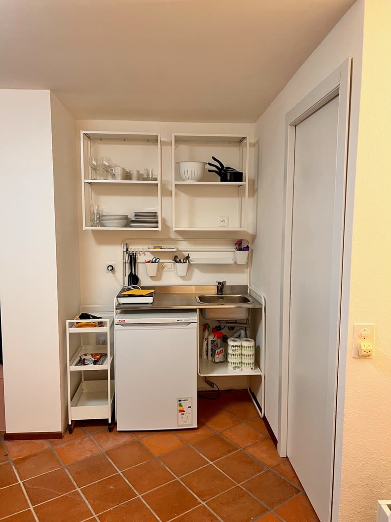 Rovio - Einzimmerwohnung in gutem Zustand (6)