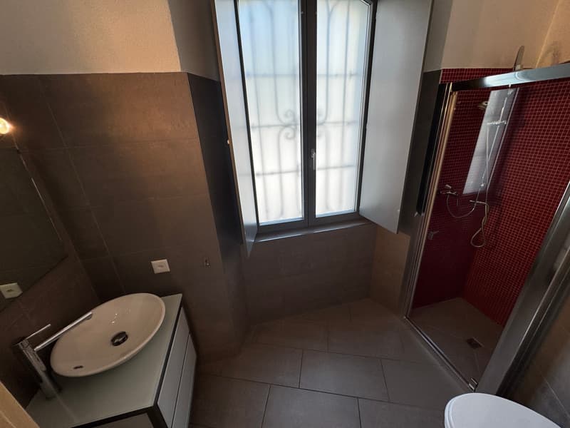 Bathroom with a sink, mirror, and a shower stall with red tiles