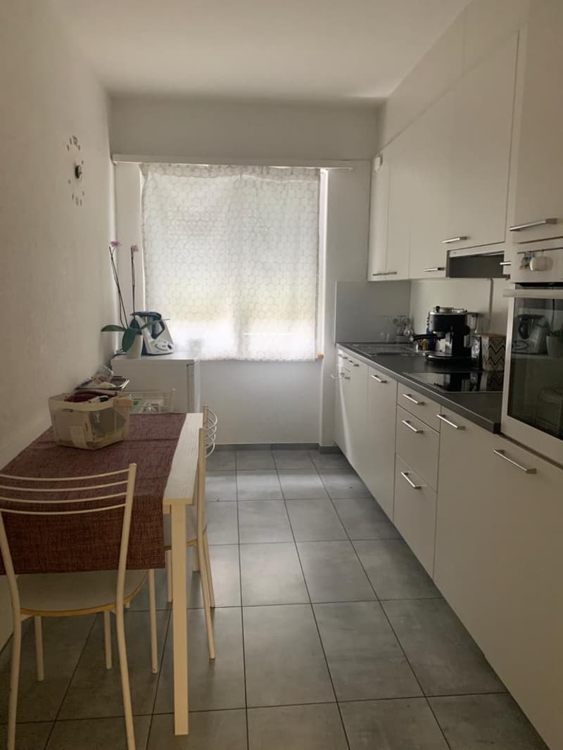 COMFORT E TRANQUILLITÀ A BELLINZONA – APPARTAMENTO 3.5 LOCALI (5)