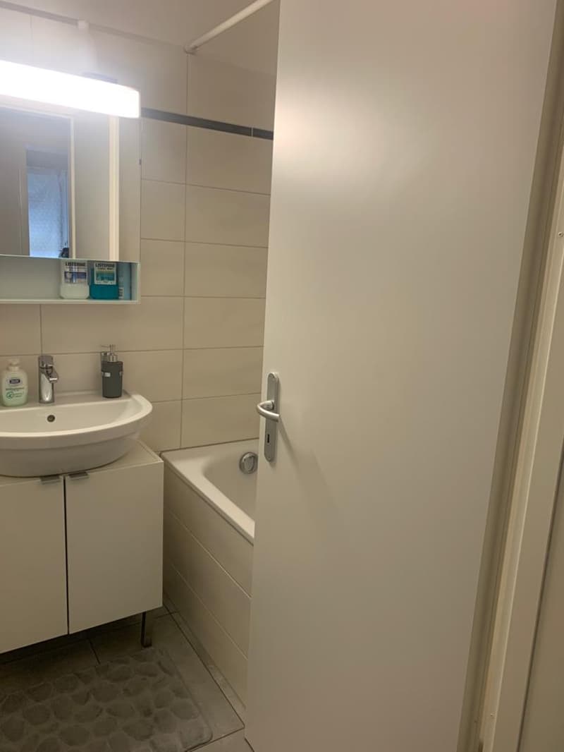 COMFORT E TRANQUILLITÀ A BELLINZONA – APPARTAMENTO 3.5 LOCALI (7)