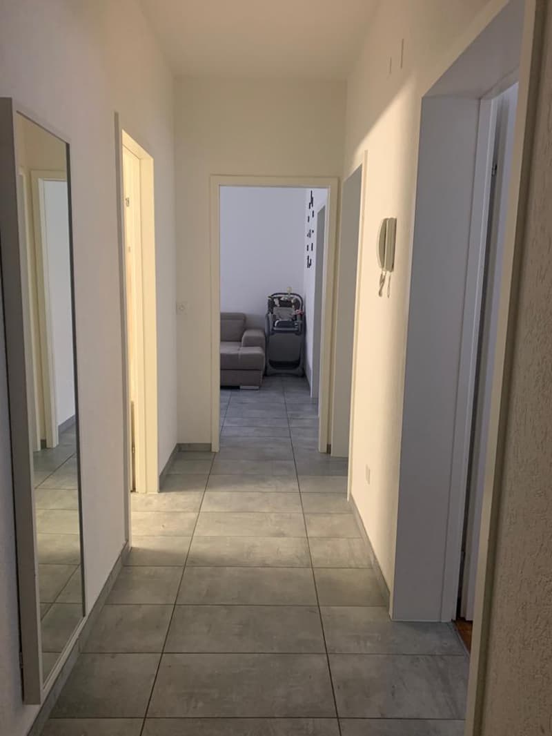 COMFORT E TRANQUILLITÀ A BELLINZONA – APPARTAMENTO 3.5 LOCALI (4)