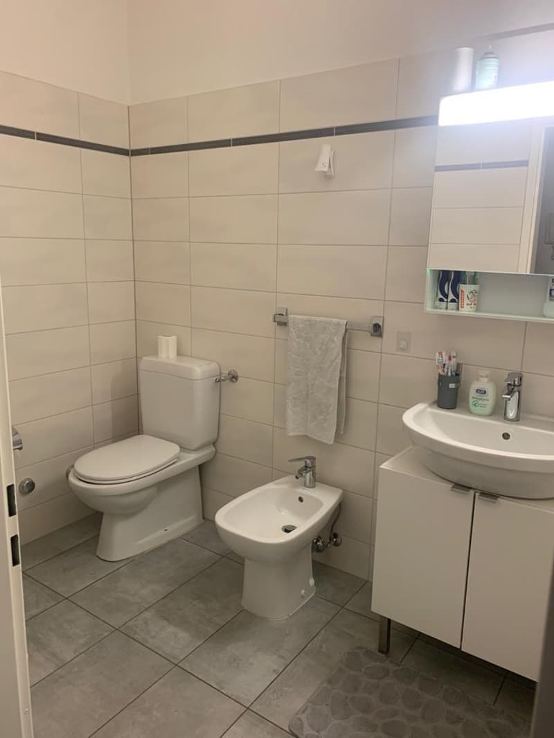 COMFORT E TRANQUILLITÀ A BELLINZONA – APPARTAMENTO 3.5 LOCALI (8)