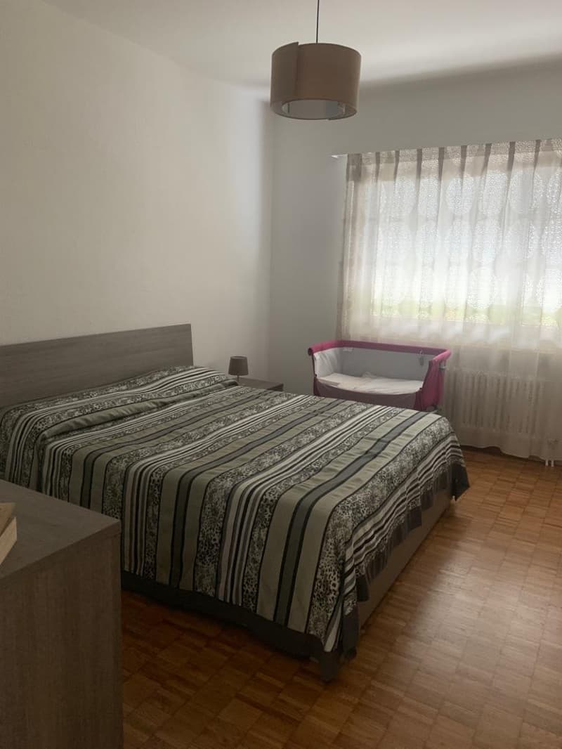 COMFORT E TRANQUILLITÀ A BELLINZONA – APPARTAMENTO 3.5 LOCALI (9)