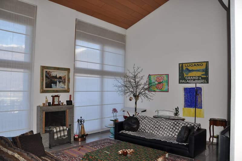 Modern single-family house in good condition and with excellent finishes, large plot of land. (5)