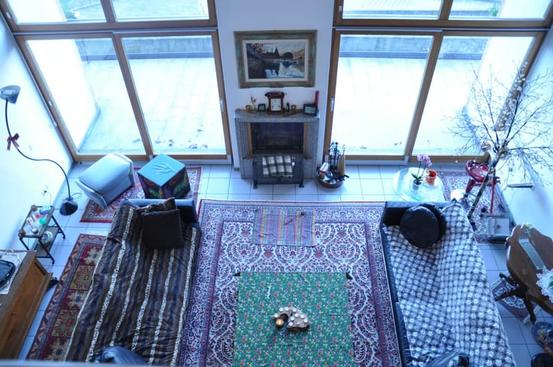 Modern single-family house in good condition and with excellent finishes, large plot of land. (1)