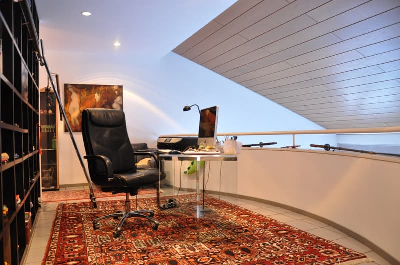 Modern single-family house in good condition and with excellent finishes, large plot of land. (3)