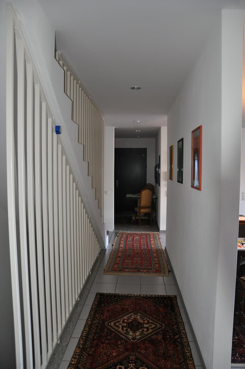Modern single-family house in good condition and with excellent finishes, large plot of land. (8)