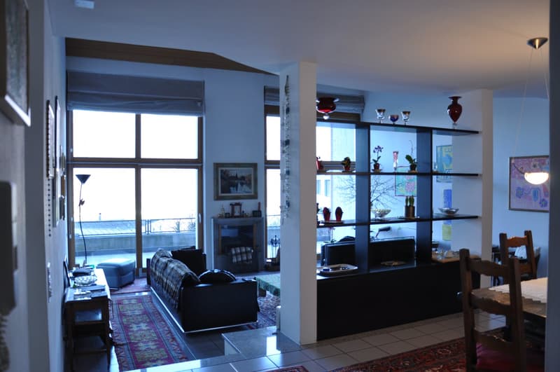 Modern single-family house in good condition and with excellent finishes, large plot of land. (9)