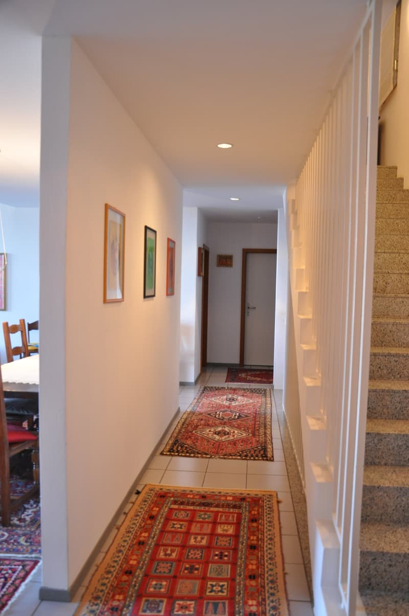 Modern single-family house in good condition and with excellent finishes, large plot of land. (10)