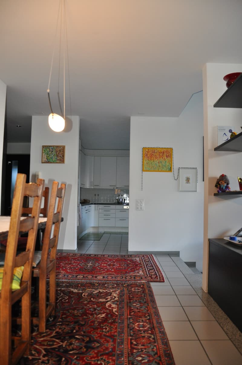 Modern single-family house in good condition and with excellent finishes, large plot of land. (7)