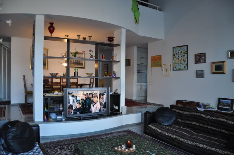 Modern single-family house in good condition and with excellent finishes, large plot of land. (6)