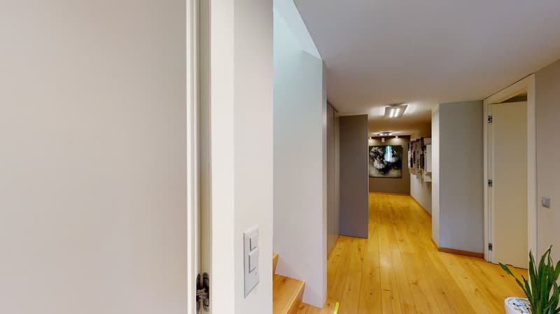 Mendrisio, refined single villa with pool (32)