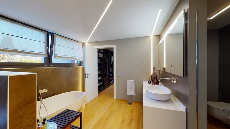 Mendrisio, refined single villa with pool (46)
