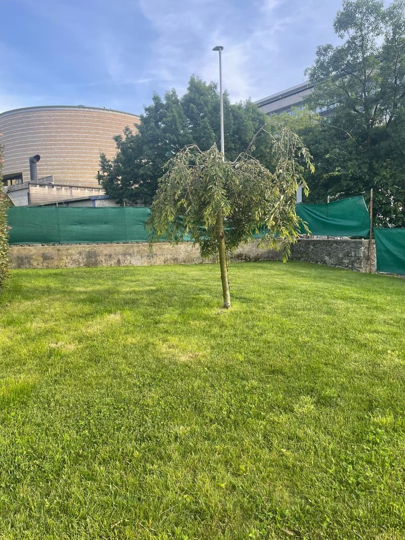 Una villa liberty in centro a Mendrisio con giardino box doppio più posti auto (21)
