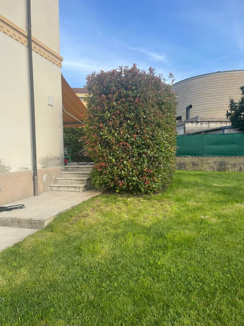 Una villa liberty in centro a Mendrisio con giardino box doppio più posti auto (22)