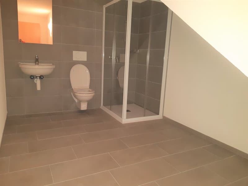 Lostallo, office with private service and shower (3)