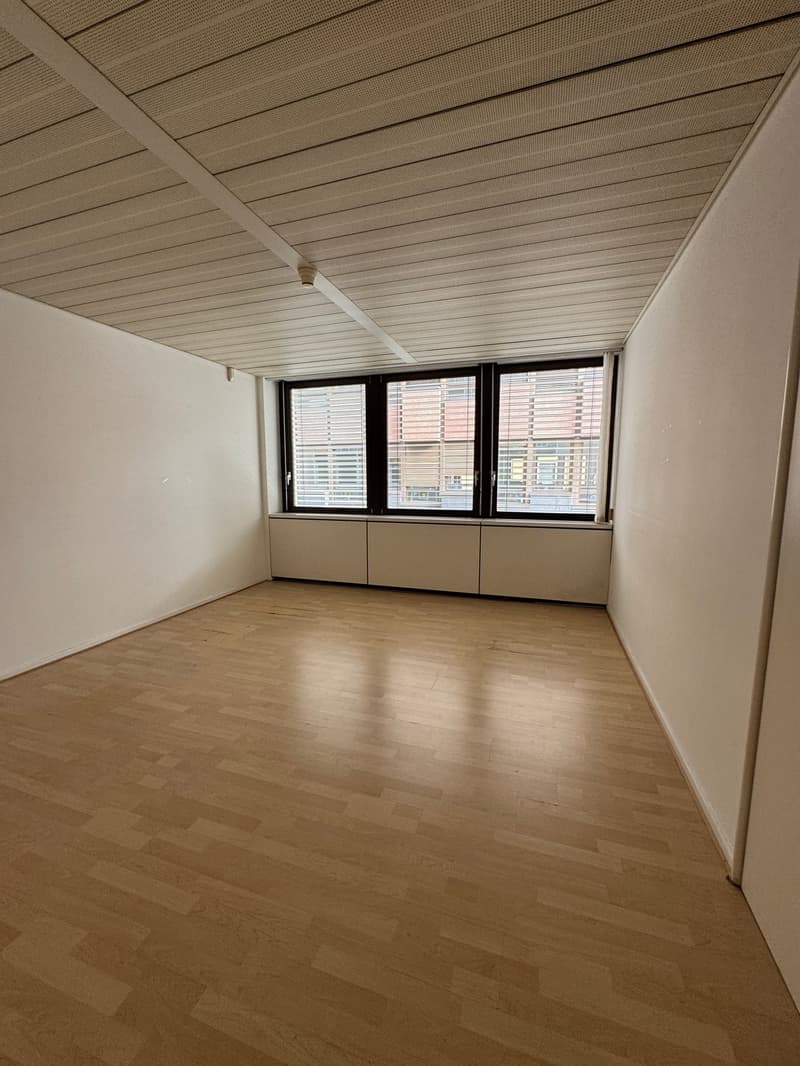 Office Building for Income, Possible Purchase for Non-Resident Foreign Citizens in Switzerland (21)