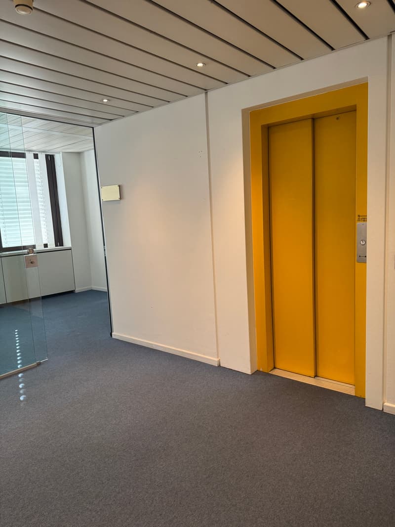 Office Building for Income, Possible Purchase for Non-Resident Foreign Citizens in Switzerland (20)