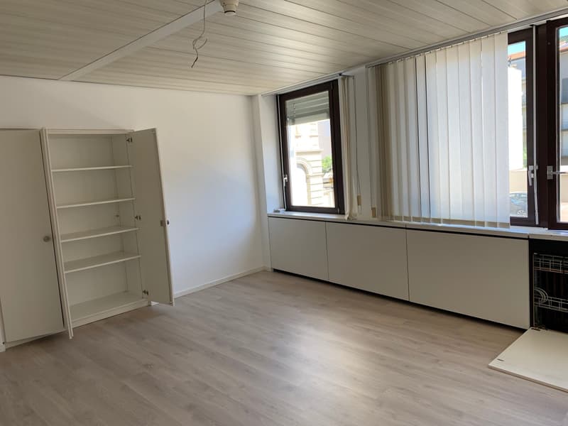 Office Building for Income, Possible Purchase for Non-Resident Foreign Citizens in Switzerland (2)