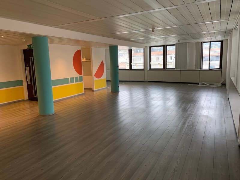 Office Building for Income, Possible Purchase for Non-Resident Foreign Citizens in Switzerland (28)