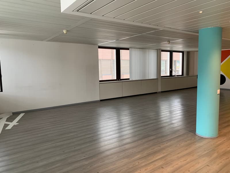 Office Building for Income, Possible Purchase for Non-Resident Foreign Citizens in Switzerland (34)