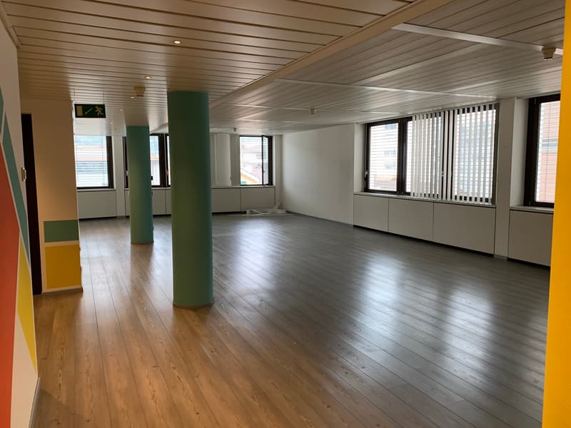 Office Building for Income, Possible Purchase for Non-Resident Foreign Citizens in Switzerland (31)