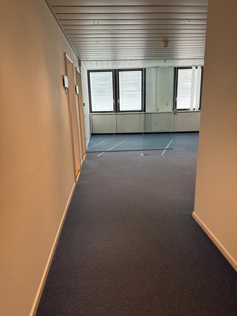 Office Building for Income, Possible Purchase for Non-Resident Foreign Citizens in Switzerland (19)