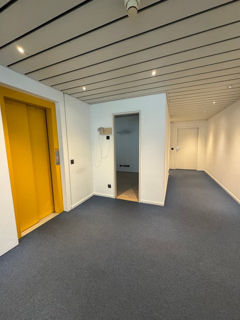 Office Building for Income, Possible Purchase for Non-Resident Foreign Citizens in Switzerland (26)