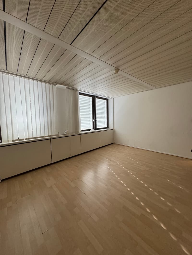 Office Building for Income, Possible Purchase for Non-Resident Foreign Citizens in Switzerland (24)